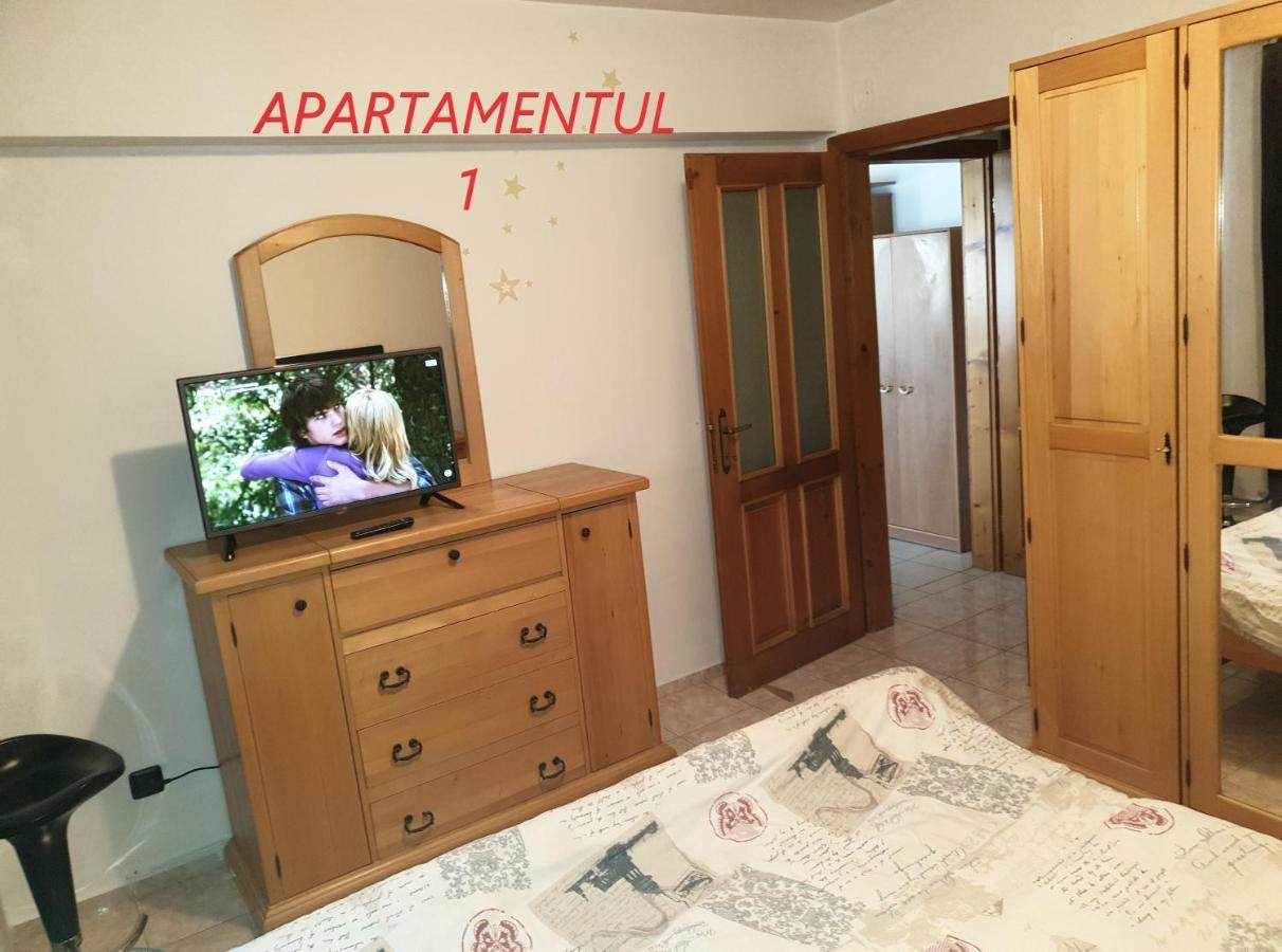 Apartament Cu 2 Camere,Ultracentral In Arad Exterior foto